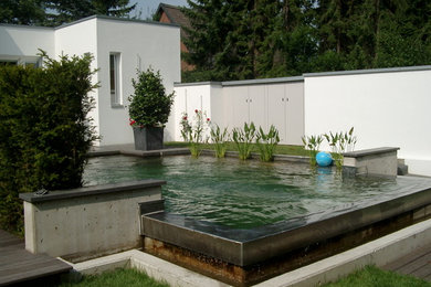 Moderner Schwimmteich hinter dem Haus in individueller Form in Düsseldorf