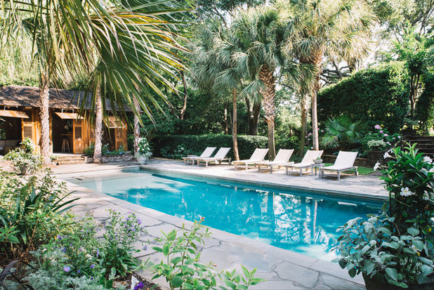 Tropical Pool by Elizabeth Stuart Design