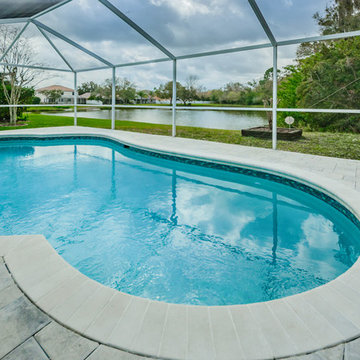 Oldsmar, Florida Pool Remodel