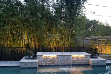 Example of an island style pool design in Jacksonville