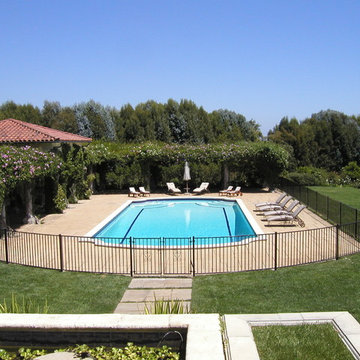 Ornamental Iron Pool Fence & Gate
