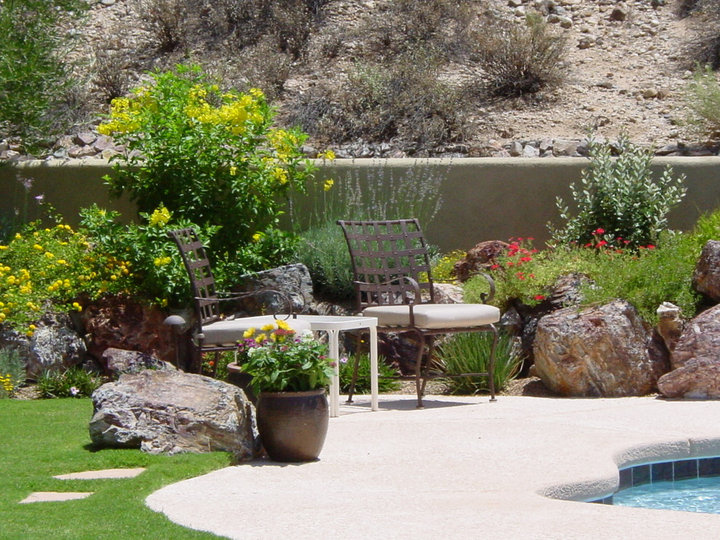 Contemporary Pool - Pool