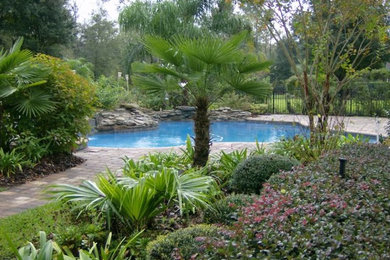 Example of a transitional backyard brick and custom-shaped pool design in Jacksonville