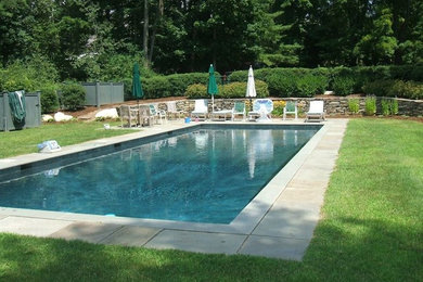 Modelo de piscina alargada clásica grande rectangular en patio trasero con adoquines de hormigón