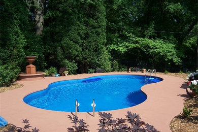 Pool - mid-sized backyard concrete and custom-shaped natural pool idea in Charlotte