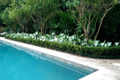 Modelo de piscina tradicional de tamaño medio rectangular en patio trasero con losas de hormigón