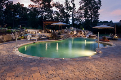 Inspiration for a mid-sized contemporary backyard stone and kidney-shaped water slide remodel in New Orleans
