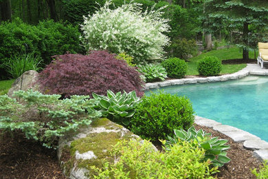 Pool - transitional backyard stone and custom-shaped pool idea in New York