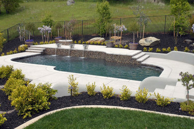 Trendy backyard concrete and custom-shaped pool photo in Sacramento