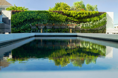 Pool - contemporary backyard pool idea in Orange County