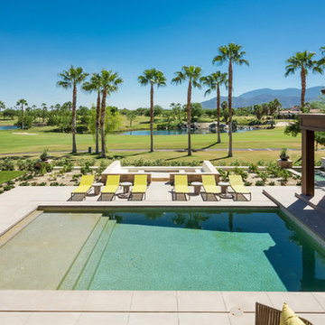 Outdoor Pool With Beautiful Palm Tree View