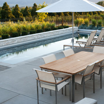 Patio and Pool