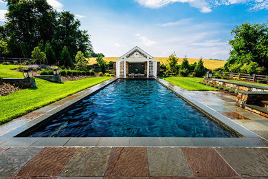 Example of a classic rectangular natural pool design in Baltimore