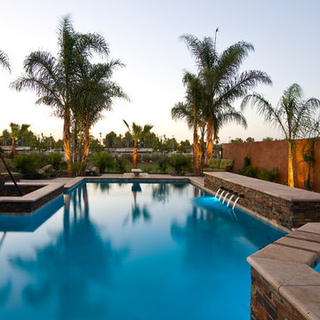 Phoenix Resort Style Diving Pool