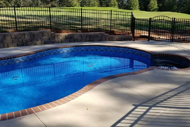 Cette image montre une grande piscine arrière sur mesure avec une terrasse en bois.