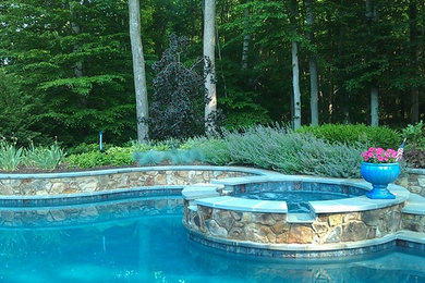 Example of a large classic backyard stone and custom-shaped pool design in Baltimore