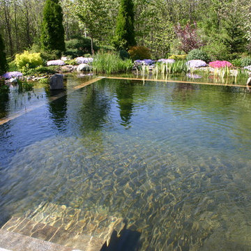 Pierce Lanucha Natural Swimming Pool