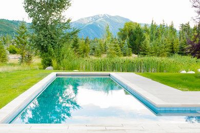 Example of a large farmhouse l-shaped pool design in Denver