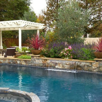 Pleasanton Pool,spa, cook center pond & patios