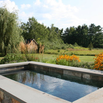 Plunge Pool