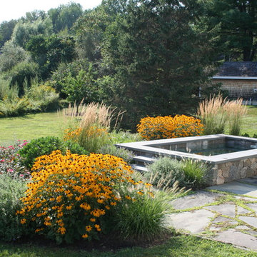 Plunge Pool