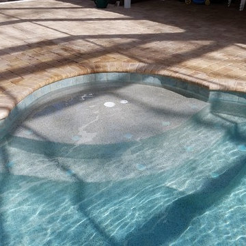 Pool and Enclosure