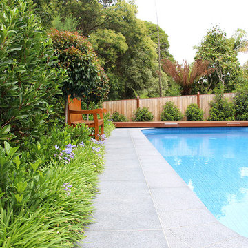 Pool & Garden Makeover - CAMBERWELL
