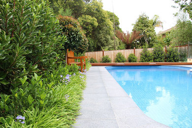 Modelo de piscina natural tradicional renovada grande tipo riñón en patio trasero con entablado