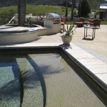 Pool and Landscape