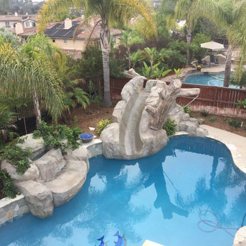 Pool & Landscaping Projects