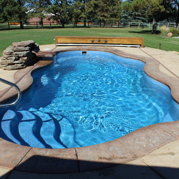 Pool and Living Area Backyard Transformation