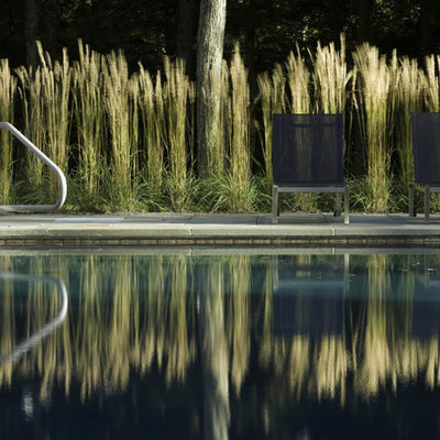Pool - modern rectangular pool idea in Burlington