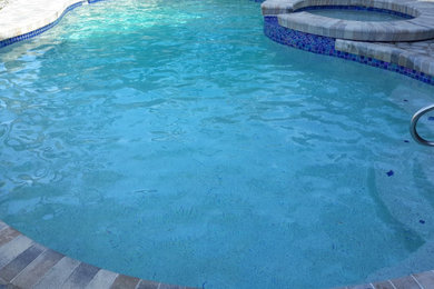 Elegant pool photo in Tampa
