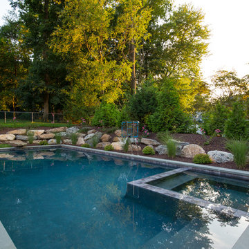 Pool & Spa with Natural Stone Diving Board