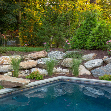 Pool & Spa with Natural Stone Diving Board