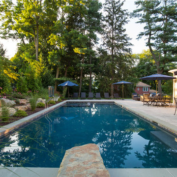 Pool & Spa with Natural Stone Diving Board