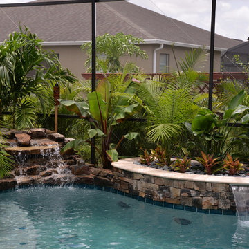 Pool and spa with Rock Water Features in Davenport, Florida