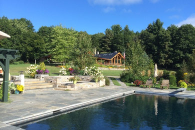 Large mountain style backyard stone and rectangular lap pool photo in Burlington