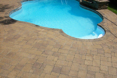 Modelo de piscinas y jacuzzis naturales grandes a medida en patio trasero con adoquines de hormigón