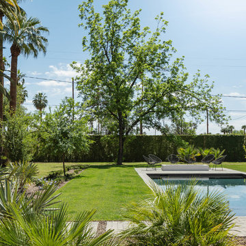 Pool + Backyard