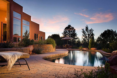 Inspiration for a mid-sized transitional backyard brick and custom-shaped infinity pool fountain remodel in Dallas