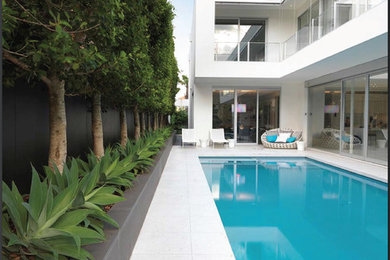 Large modern rectangular swimming pool in Melbourne.