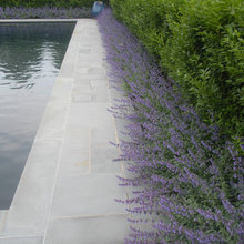 Landscaping Pool