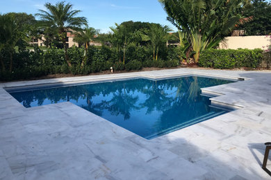 Diseño de piscina natural minimalista de tamaño medio a medida en patio trasero con paisajismo de piscina y adoquines de piedra natural