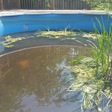 Pool removal