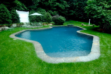 Design ideas for a custom shaped swimming pool in New York.