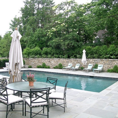 Pool - traditional rectangular pool idea in Cincinnati