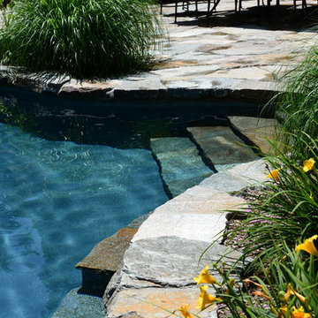 Pool/spa with ledge