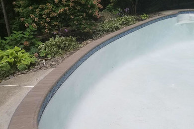 Inspiration for a mid-sized timeless backyard brick and custom-shaped natural pool remodel in Philadelphia