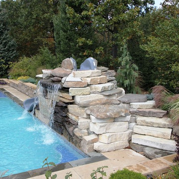 Pool with  oversized tanning ledges and fire feature water slide